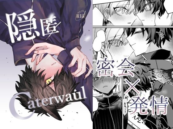 |隠匿Caterwaul❤学園もの【甘蕉薬】