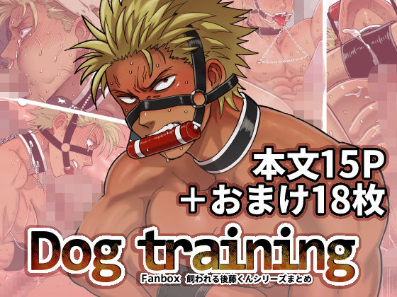 |DOG TRAINING❤筋肉【旅に出ます】