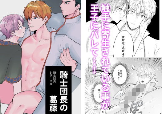 |騎士団長の葛藤❤ファンタジー【ですよね】