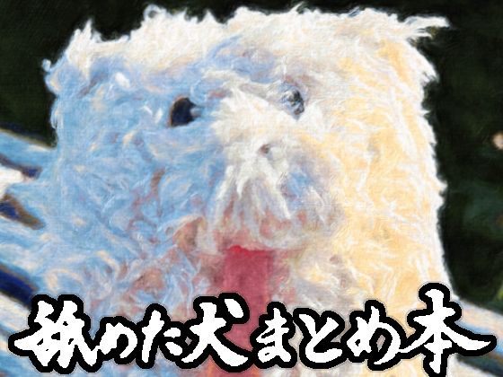 |舐めた犬まとめ本❤ギャグ・コメディ【舐めた犬】