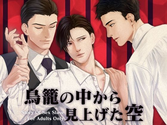|鳥籠の中から見上げた空❤BL（ボーイズラブ）【Carbohydrate】