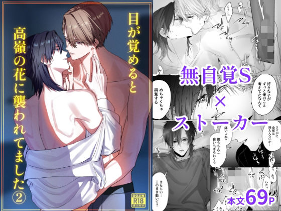 |目が覚めると高嶺の花に襲われてました 2❤BL（ボーイズラブ）【MIZUSAWA】