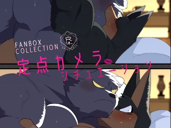 |FANBOX COLLECTION 定点カメラシチュエーション❤女性向け【こけもも】