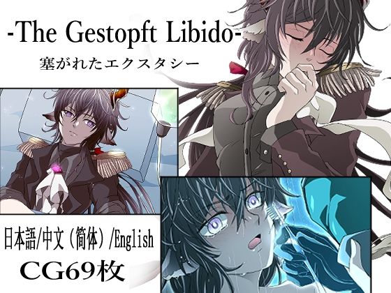 |-The Gestopft Libido-塞がれたエクスタシー❤スカトロ【Melon de Libido】