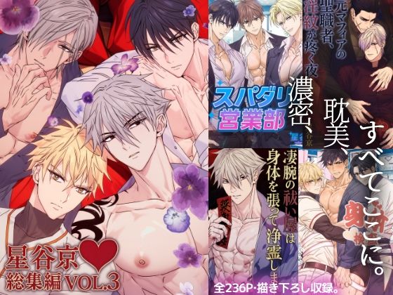 |星谷京総集編 VOL.3❤拘束【星谷京】