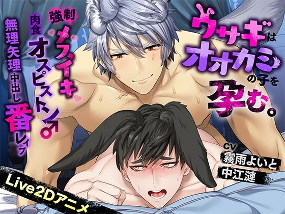 |《Live2Dアニメ》ウサギはオオカミの子を孕む。〜強●メスイキ肉食オスピストン♂無理矢理中出し番レ●プ〜❤動画・アニメーション【HornyPheromone】