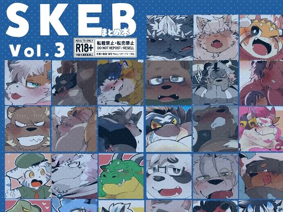 |SKEBまとめ本 3❤女性向け【こけもも】