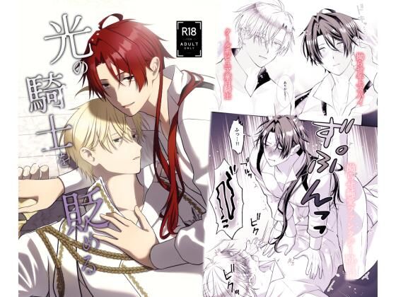 |光の騎士を貶める❤ファンタジー【たけのこ沼】