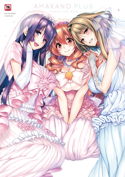 【アマカノ＋ ビジュアルファンブック】単行本❤ピロ水