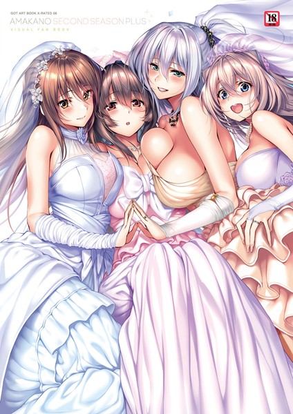 【アマカノ〜Second Season〜＋（プラス）ビジュアルファンブック【FANZA限定特典付き】】単行本❤ピロ水