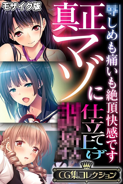 【真正マゾに仕立て上げ●● 〜●しめも痛いも絶頂快感です〜【CG集コレクション】 モザイク版】フルカラー❤大人のSEXY絵本