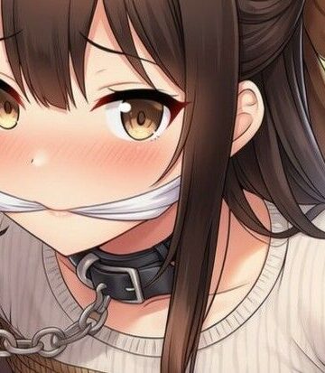 彩屋【【音声付き】緊縛された女の子動画集 〜首輪編〜】動画・アニメーション❤