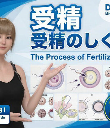 Libido-Labo【【▲20】一ノ瀬廻里 大学に進学し強豪予備校『DOPUX（ドピュックス』で生物I，IIを教える名物講師に！（Vol.035:受精）】3DCG❤