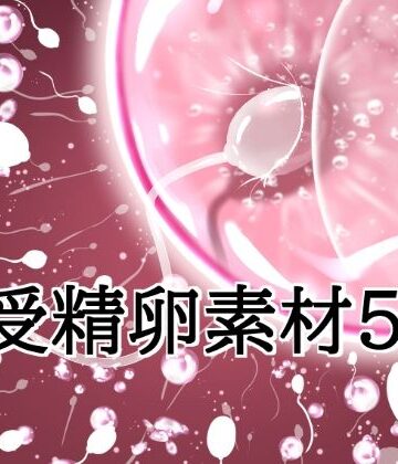 水の木【受精卵素材5】イラスト・CG集❤